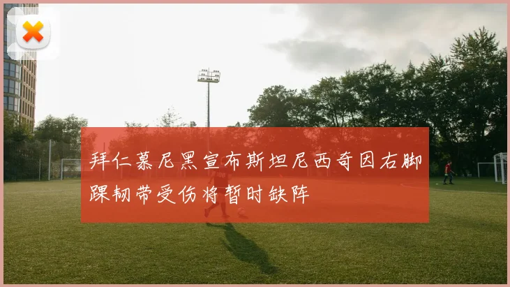 拜仁慕尼黑宣布斯坦尼西奇因右脚踝韧带受伤将暂时缺阵